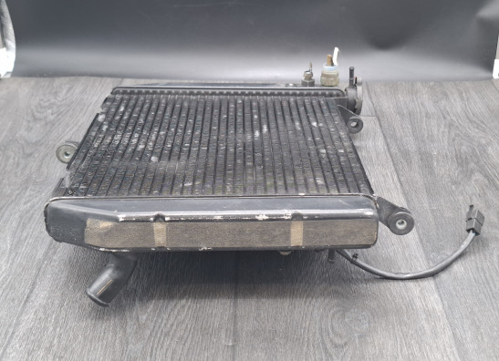 Kuhler Yamaha YZF R1