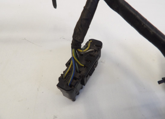 Kabelboom Honda CBR 600 F