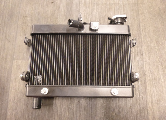 Radiateur Honda CMX 500 Rebel