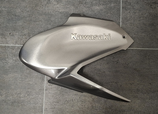 Rechter zijkuip klein Kawasaki Z 900
