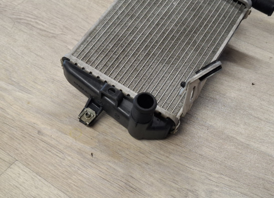 Radiateur BMW R 1200 GS LC