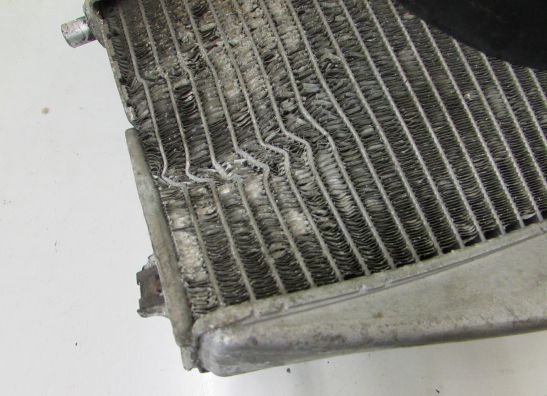 Kuhler Kawasaki ZXR 750