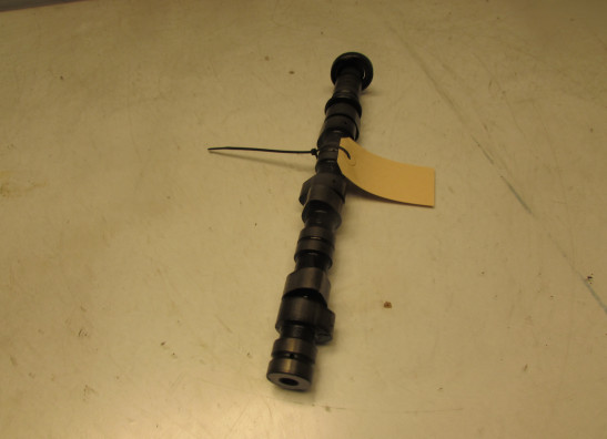 Nokkenas Honda Goldwing GL