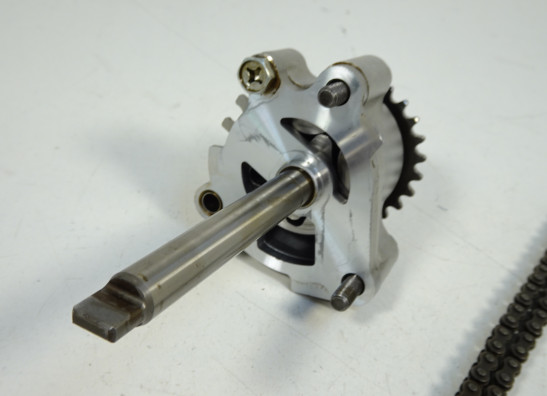 Olpumpe Triumph Sprint ST 1050