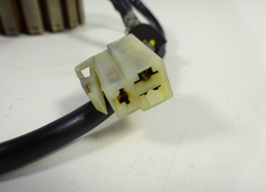 Dynamo Ducati monster 600