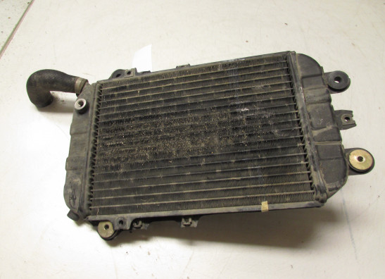 Kuhler Kawasaki VN 700  750