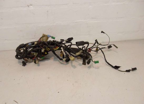 Kabelboom Kawasaki ZZR 600