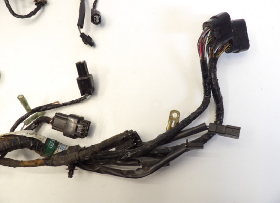 Wire Harness Kawasaki ER 6