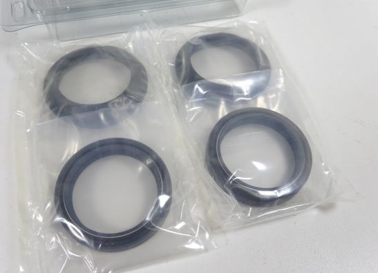 Front pipes Ducati Monster 1200