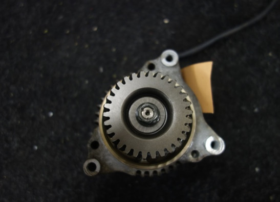 Dynamo Suzuki GSF 600 650 Bandit 