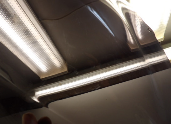 Kuipruit Honda CBR Fireblade