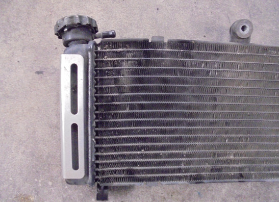 Radiateur Honda CB 600 F