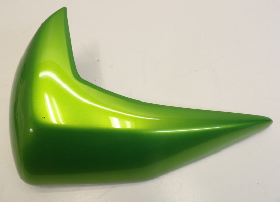 Linker zijkuip klein Kawasaki Z 750