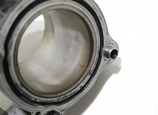 Cilinderblok Suzuki SV 650