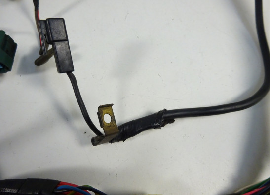 Wire Harness Yamaha TDM