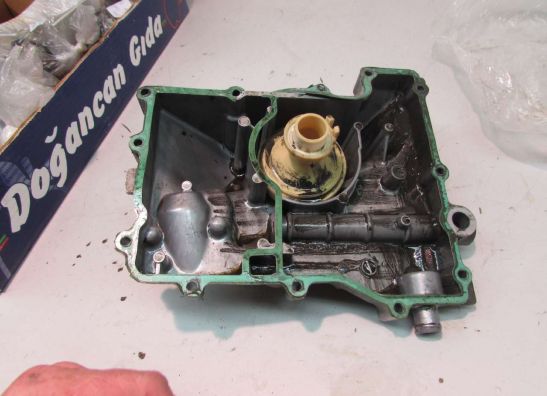 Carterpan Kawasaki ZX 9 R
