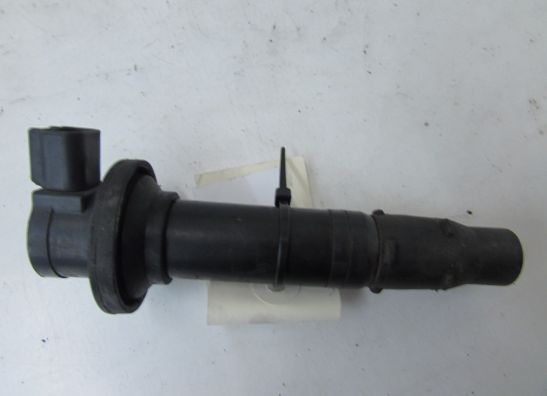 Bobine Yamaha YZF R6