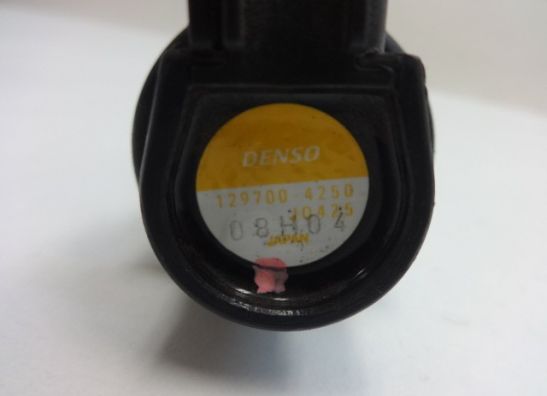 Bobine Triumph Tiger 1050