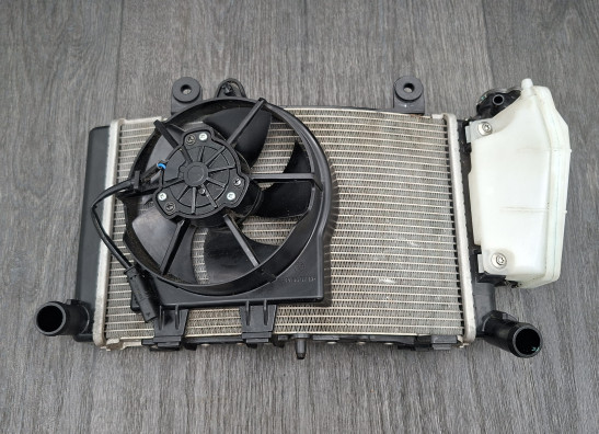 Radiator BMW F 900 XR