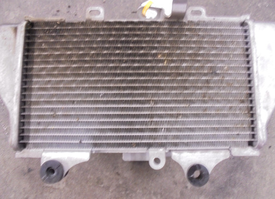 Radiateur Honda CRF 1100 Africa Twin