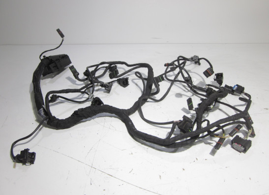 Wire Harness BMW S 1000 R