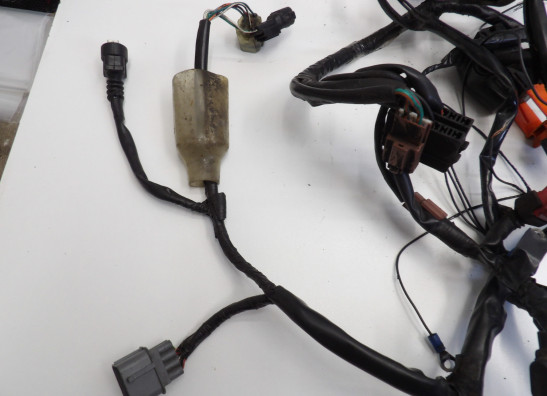 Kabelboom Honda CBF 1000