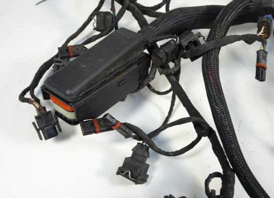 Kabelboom BMW K 1200 S 