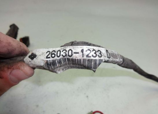 Kabelbaum Kawasaki EL 250