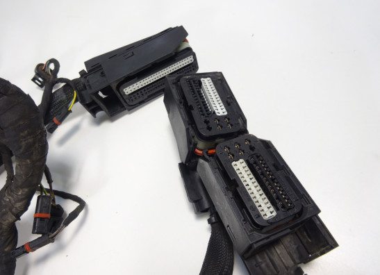 Kabelboom BMW K 1200 S 