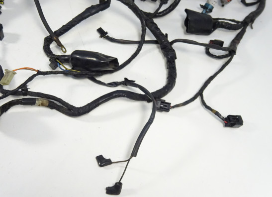 Kabelbaum Kawasaki ER 6