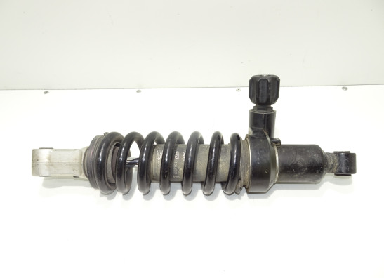 Stossdampfer hinten BMW R 1200 GS