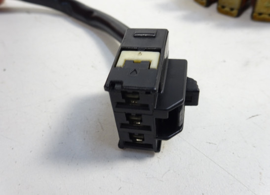 Dynamo Kawasaki Z 1000