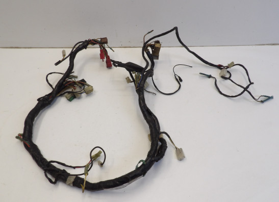 Wire Harness Kawasaki GPZ 900