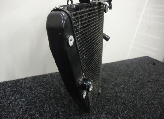 Radiator Honda CBR Fireblade