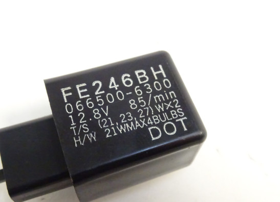 Blinker Kawasaki ER 6