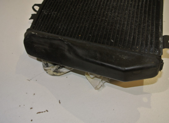 Radiateur Kawasaki Z 750