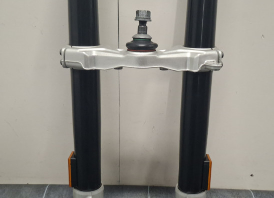 Voorpoten compleet BMW R 1250 GS
