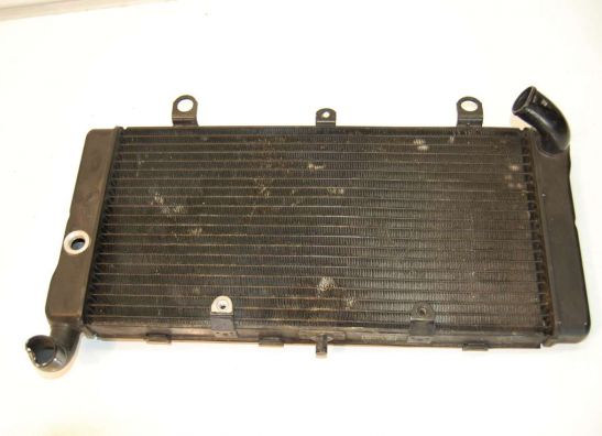 Radiator Suzuki GSX F 600