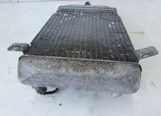 Radiateur Suzuki Burgman 400