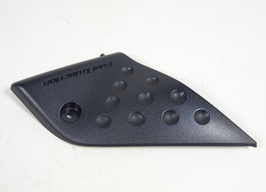 Seitenverkleidung links klein Kawasaki Z 1000