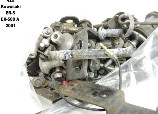 Other Kawasaki ER 5