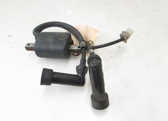 Bobine Yamaha XJ 900 S Diversion