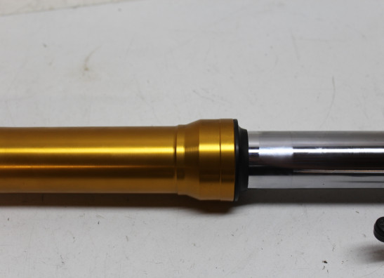 Standrohr Gabelholm rechts komplett Yamaha MT 09