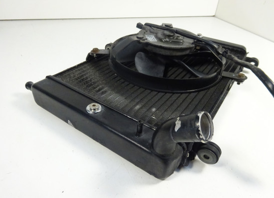 Radiator Yamaha FAZER 1000