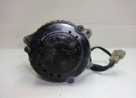 Dynamo Kawasaki ZX 9 R