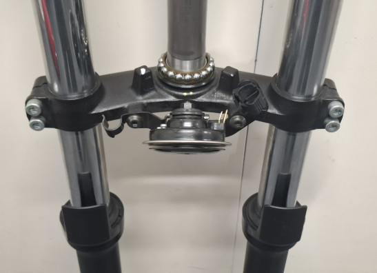 Voorpoten compleet Kawasaki Ninja 650