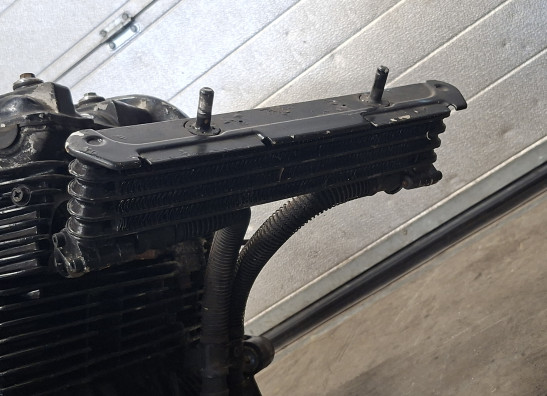 Motorblok Yamaha FJ 1100