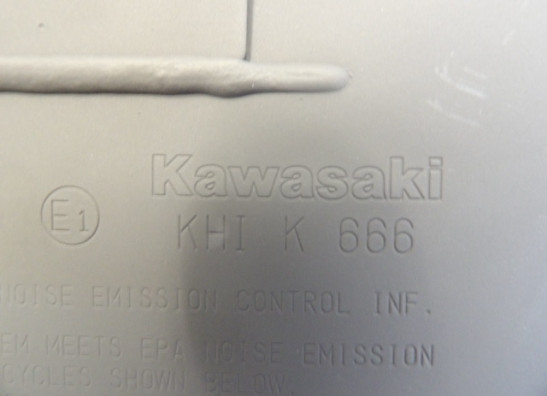 Uitlaat Kawasaki Z 900