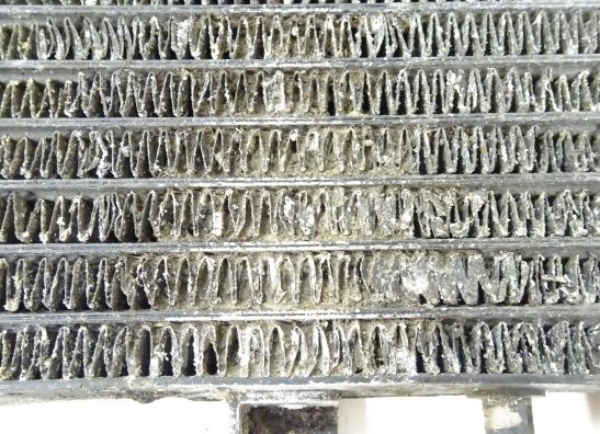 Oliekoeler Triumph Sprint ST 955