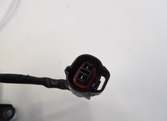 Fan Suzuki DL 1000 V STROM